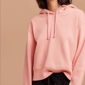 Aritzia Wilfred Free Ambrosio Hoodie Pink